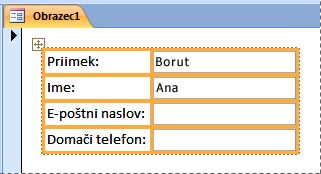 Polja v naloženi postavitvi v obrazcu