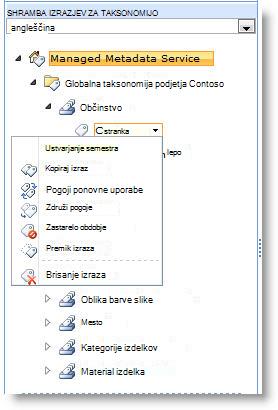 V meniju lahko upravljate izraze v naboru izrazov.