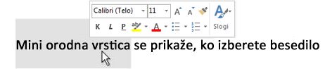 Mini orodna vrstica z izbranim besedilom
