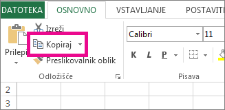 Na zavihku »Osnovno« kliknite »Kopiraj«