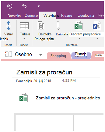 Posnetek zaslona nove preglednice v programu OneNote 2016.
