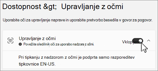 Razdelek »Upravljanje z očmi« v oknu z nastavitvami dostopnosti