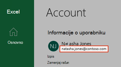 Posnetek zaslona, na katerem je prikazan uporabniški račun v Excelu.