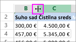 spreminjanje širine stolpca