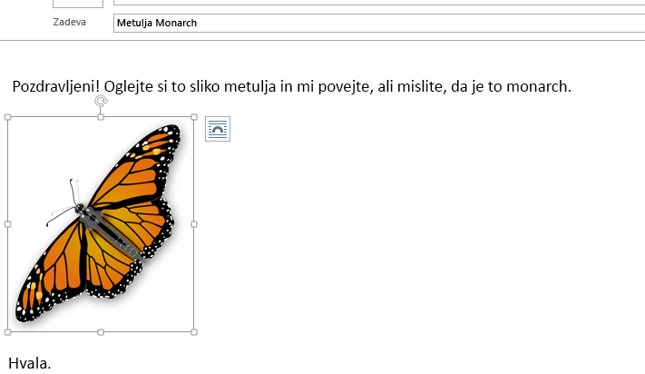 Slika je zdaj v vašem sporočilu.