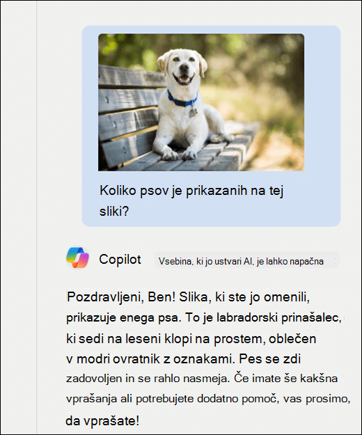 Posnetek zaslona Copilota. Slika psa je bila prilepljena skupaj s pozivom Koliko psov je prikazanih na tej sliki? Copilot se je natančno odzval in zagotovil dodaten opis slike.