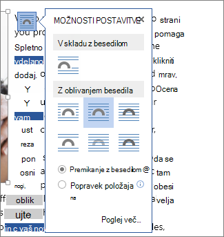 polje »Možnosti postavitve«