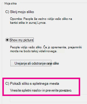 Razdelek »Posnetek zaslona« v Lyncovem oknu z možnostmi moje slike z označeno izbrano sliko s spletnega mesta