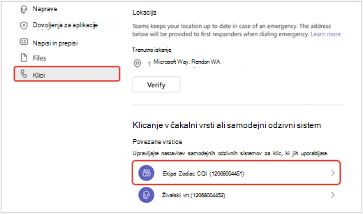 zaslon v aplikaciji Teams v meniju »Nastavitve«