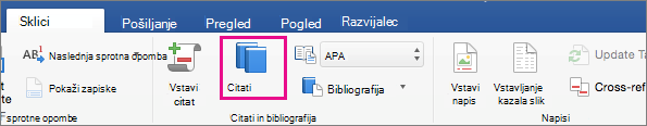 Na zavihku »Sklici« je označena možnost »Citati«.