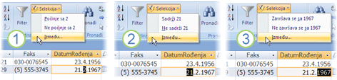 Filteri zasnovani na delimično izabranom polju