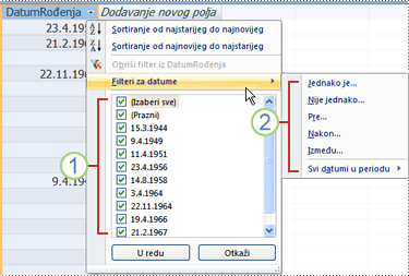 Uobičajeni filteri za datum