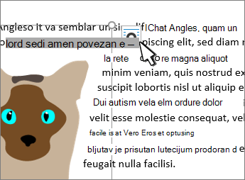 Dugme 