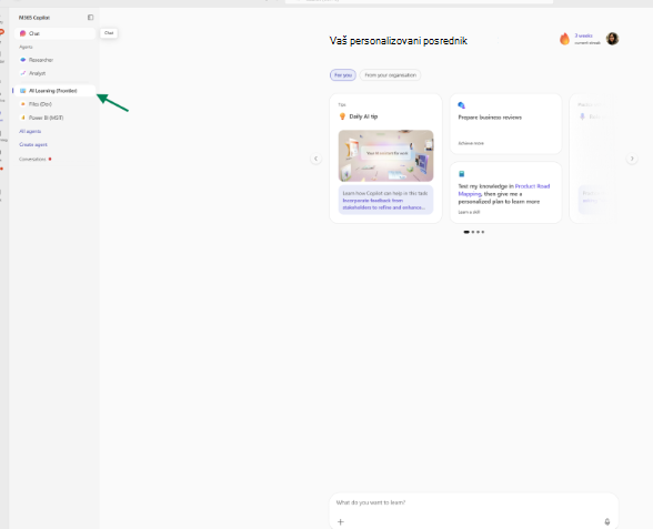 Learning Agent setup complete