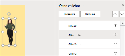 Prikazuje okno za izbor