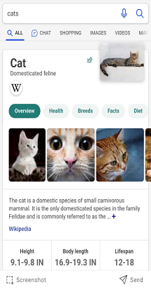 Bing ekran za pretragu sa results.png