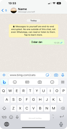 iOS Bing pretraga 5.png