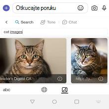 MicrosoftTeams-slika (12).png