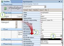 lägga till en sidbrytning i en grupperad rapport