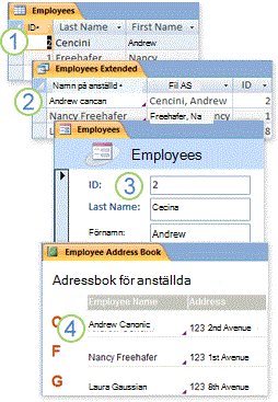 Data från tabeller används i en fråga, ett formulär och en rapport