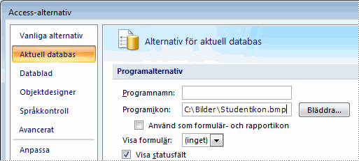 Lägga till en anpassad ikon i programmet