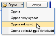 En fil öppnas i exklusivt läge