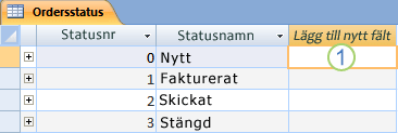 Datablad i Access med kolumnen Lägg till nytt fält