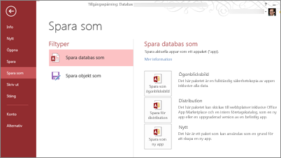 Alternativet Spara som databas på skärmen Spara som