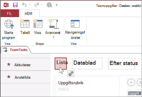 Välja vy i Access.
