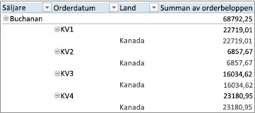 Pivottabell i dispositionsformat