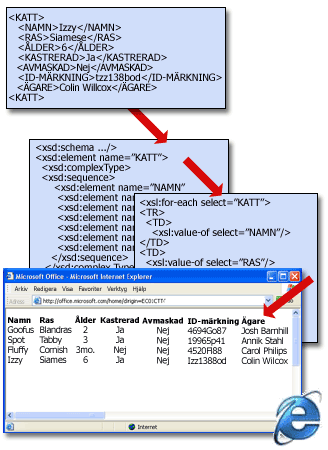 En grundläggande XML-filstruktur med ett schema och en transformering