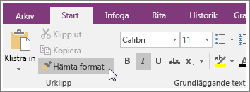 Skärmbild av knappen Hämta format i OneNote 2016.