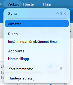 Tools_menu_Automatic_Replies