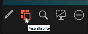 Klicka på Bildnavigatören för att visa alla bilder