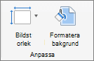 Skärmbild av gruppen Anpassa med alternativ för Bildstorlek och Formatera bakgrund.