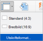 Visar alternativet Utskriftsformat på menyn Bildstorlek