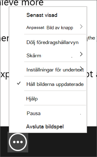 Menyn Fler bildspelsalternativ i föredragshållarvyn.