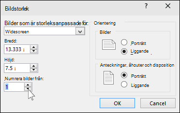Visar dialogrutan Bildstorlek i PowerPoint