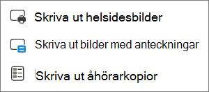 Menyn Skriv ut alternativ.