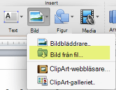 Klicka på Bildbild > från fil under Infoga på fliken Start i menyfliksområdet.