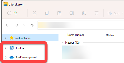 I navigeringsfönstret till vänster om Utforskaren finns det mappar på översta nivån för ett synkroniserat SharePoint-bibliotek och en synkroniserad OneDrive.