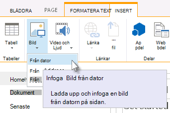 Alternativet för att infoga en bild från datorn