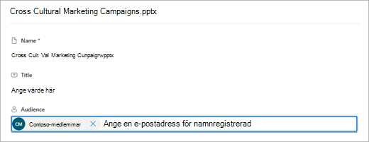 Ange upp till 50 målgrupper i avsnittet Målgrupp.