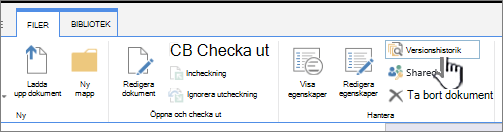 Fliken Arkiv med Versionshistorik markerad