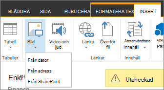Knappen Infoga bild med menyn Källalternativ nedanför.