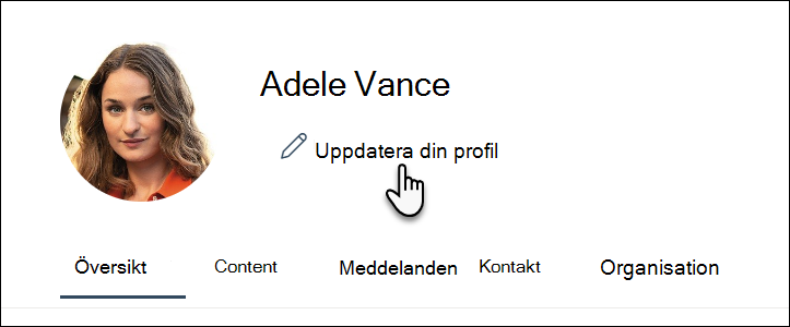 Uppdatera profil