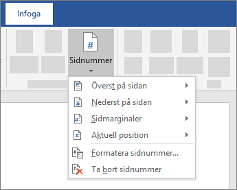 Infoga sidnummer