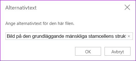 Dialogrutan Alternativtext för OneNote för webben