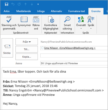 Skärmbild av fliken Granska.