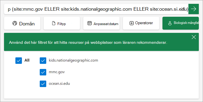 skärmbild av hur det anpassade filtret visas för elever när det är aktiverat.